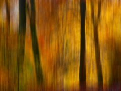 Autumn_1