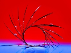 Circle-of-Strings_1-3