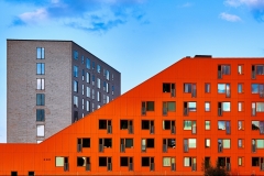 Colour