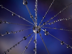 Droplets_13