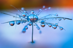 Droplets_5