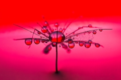 Droplets_6